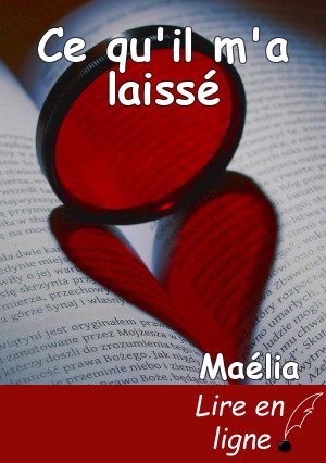 Ce qu'il m'a laissé