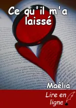 Ce qu'il m'a laissé