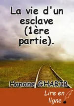 La vie d'un esclave (1ère partie).
