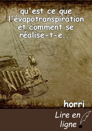 qu'est ce que l'évapotranspiration et comment se réalise-t-elle ?