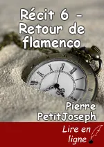 Récit 6 - Retour de flamenco