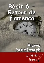 Récit 6 - Retour de flamenco