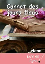 Carnet des jours flous