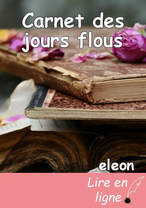 Carnet des jours flous