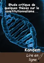 Etude critique de quelques thèses sur le constitutionnalisme global