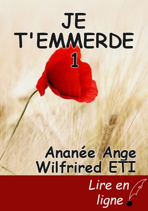 JE T'EMMERDE 1