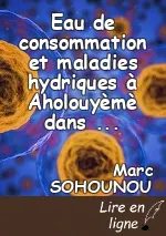 Eau de consommation et maladies hydriques à Aholouyèmè dans la commune de Sèmè-Kpodji (BENIN, Afrique de l’Ouest)