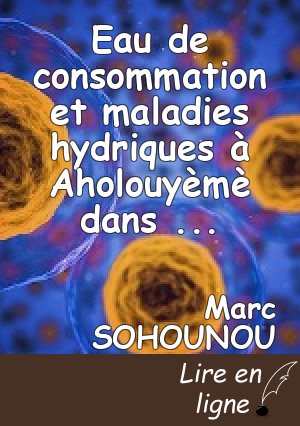 Eau de consommation et maladies hydriques à Aholouyèmè dans la commune de Sèmè-Kpodji (BENIN, Afrique de l’Ouest)