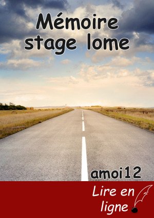 Mémoire stage lome