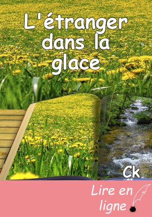 L'étranger dans la glace