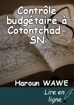 Contrôle budgétaire à Cotontchad-SN