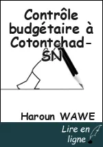 Contrôle budgétaire à Cotontchad-SN