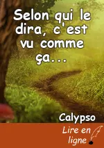 Selon qui le dira, c'est vu comme ça...