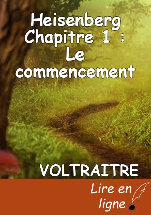 Heisenberg  Chapitre 1 : Le commencement