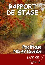 RAPPORT DE STAGE