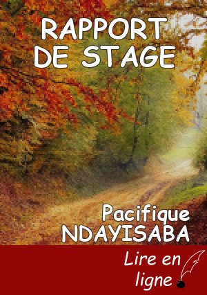 RAPPORT DE STAGE