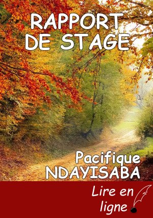 RAPPORT DE STAGE