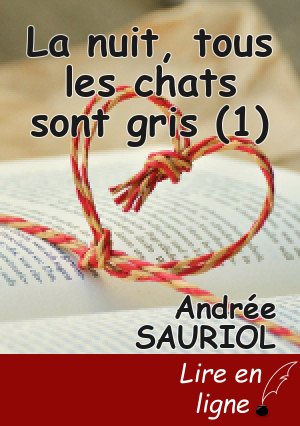 La nuit, tous les chats sont gris (1)