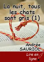 La nuit, tous les chats sont gris (1)