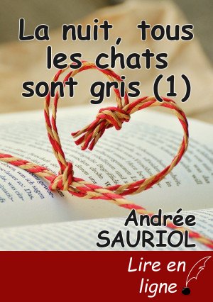 La nuit, tous les chats sont gris (1)