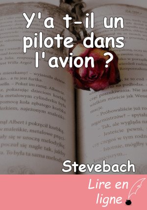 Y'a t-il un pilote dans l'avion ?