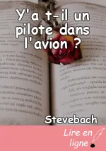 Y'a t-il un pilote dans l'avion ?