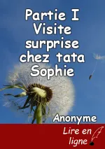 Partie I Visite surprise chez tata Sophie
