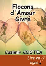 Flocons d'Amour Givré