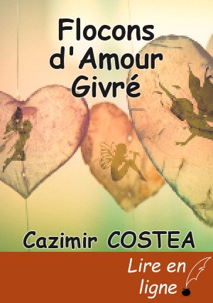Flocons d'Amour Givré