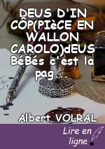 DEUS D'IN CÔP(PIèCE EN WALLON CAROLO)dEUS BéBés c'est la pagaille