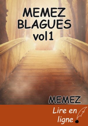 MEMEZ BLAGUES vol1