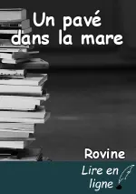 Un pavé dans la mare