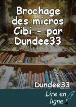 Brochage des micros Cibi - par Dundee33