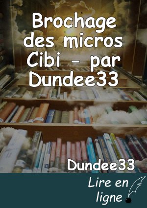 Brochage des micros Cibi - par Dundee33
