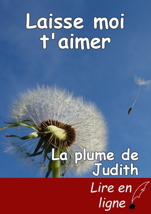 Laisse moi t'aimer