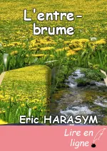 L'entre-brume