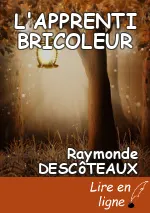 L'APPRENTI BRICOLEUR