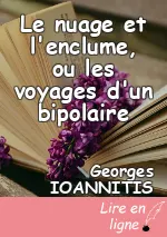 Le nuage et l'enclume, ou les voyages d'un bipolaire
