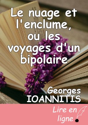 Le nuage et l'enclume, ou les voyages d'un bipolaire