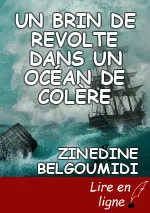UN BRIN DE REVOLTE DANS UN    OCÉAN       DE COLÈRE