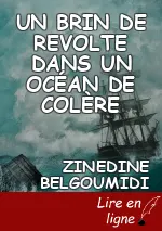 UN BRIN DE REVOLTE DANS UN    OCÉAN       DE COLÈRE