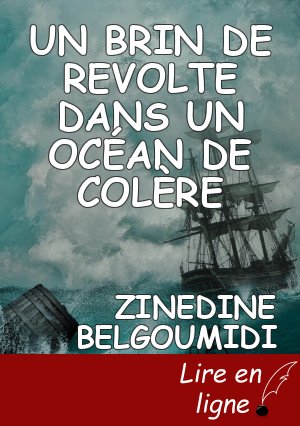 UN BRIN DE REVOLTE DANS UN    OCÉAN       DE COLÈRE