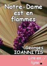 Notre-Dame est en flammes