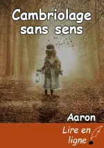 Cambriolage sans sens