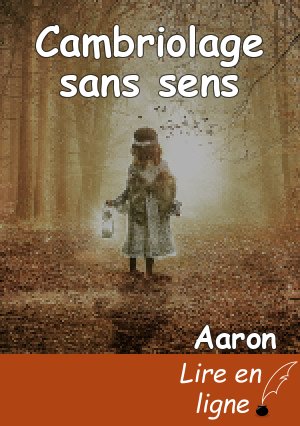 Cambriolage sans sens