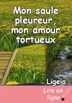 Mon saule pleureur, mon amour tortueux