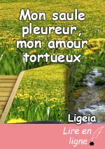 Mon saule pleureur, mon amour tortueux