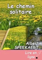 Le chemin solitaire