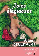 Joies élégiaques