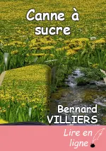 Canne à sucre